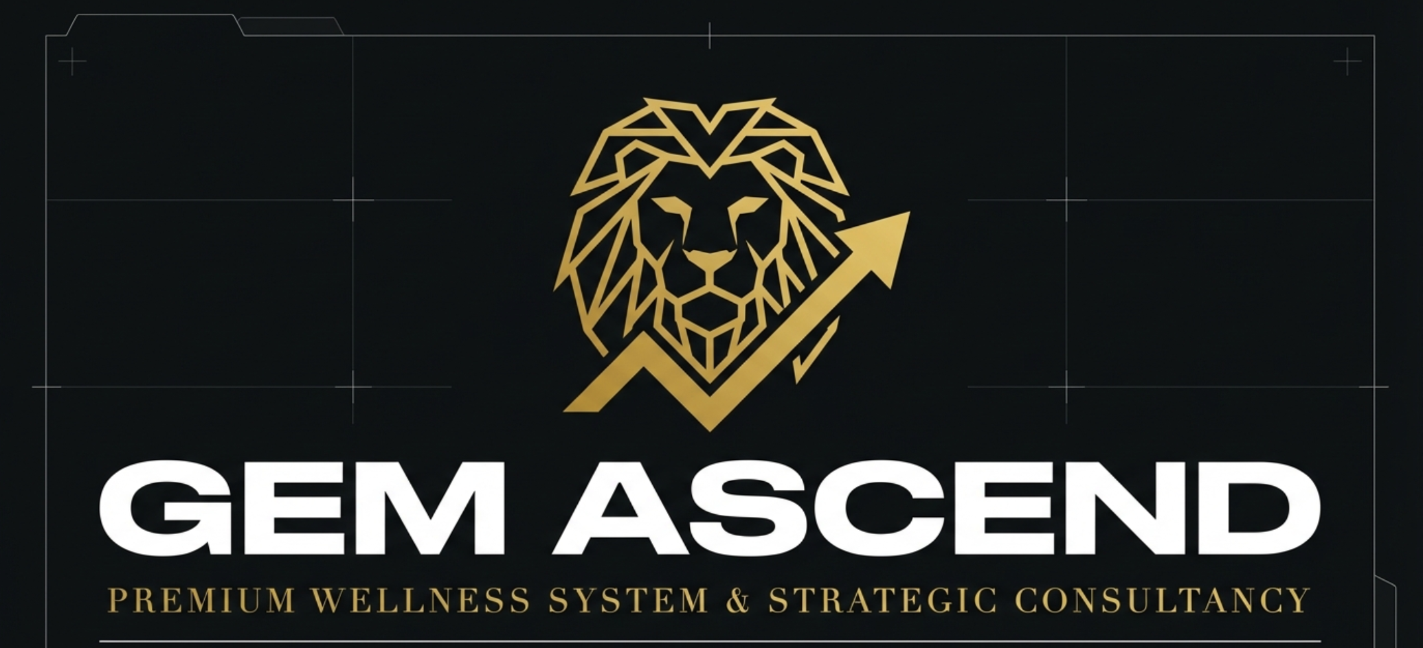 The Gem Ascend Premium Corporate Strategy Package - Behavioral System Analysis Plan